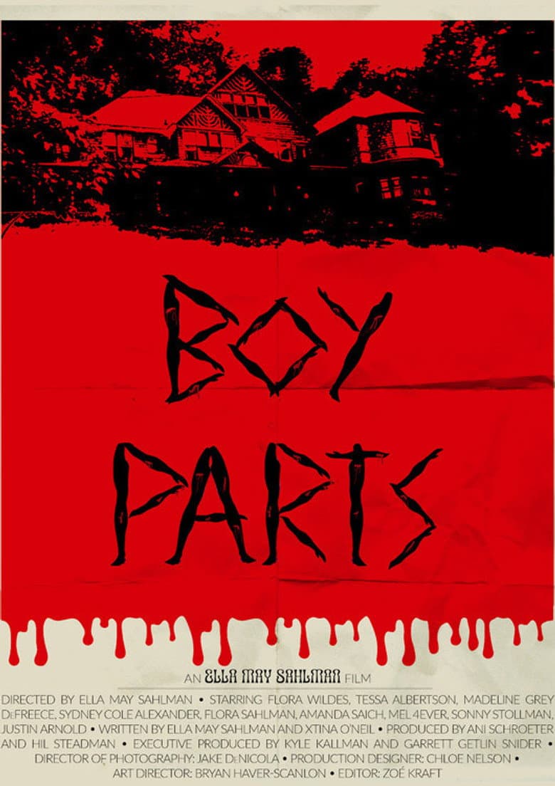 Boy Parts poster