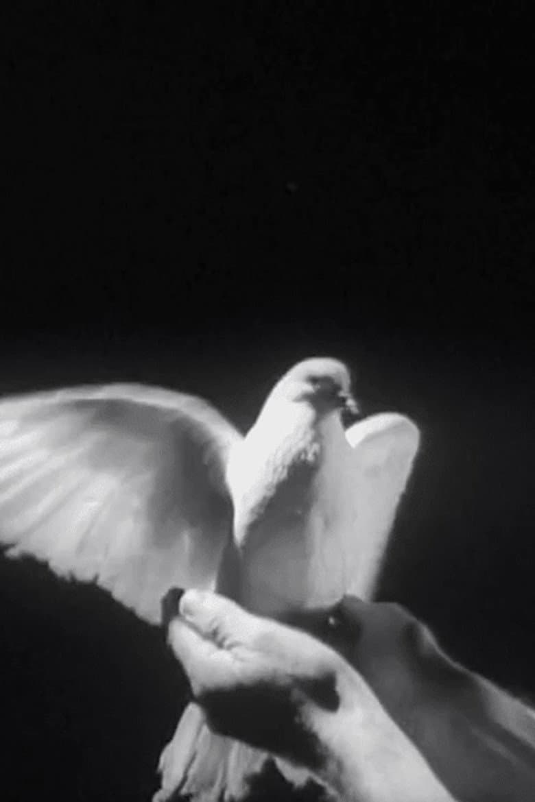 The Butterfly and the Candle Flame poster