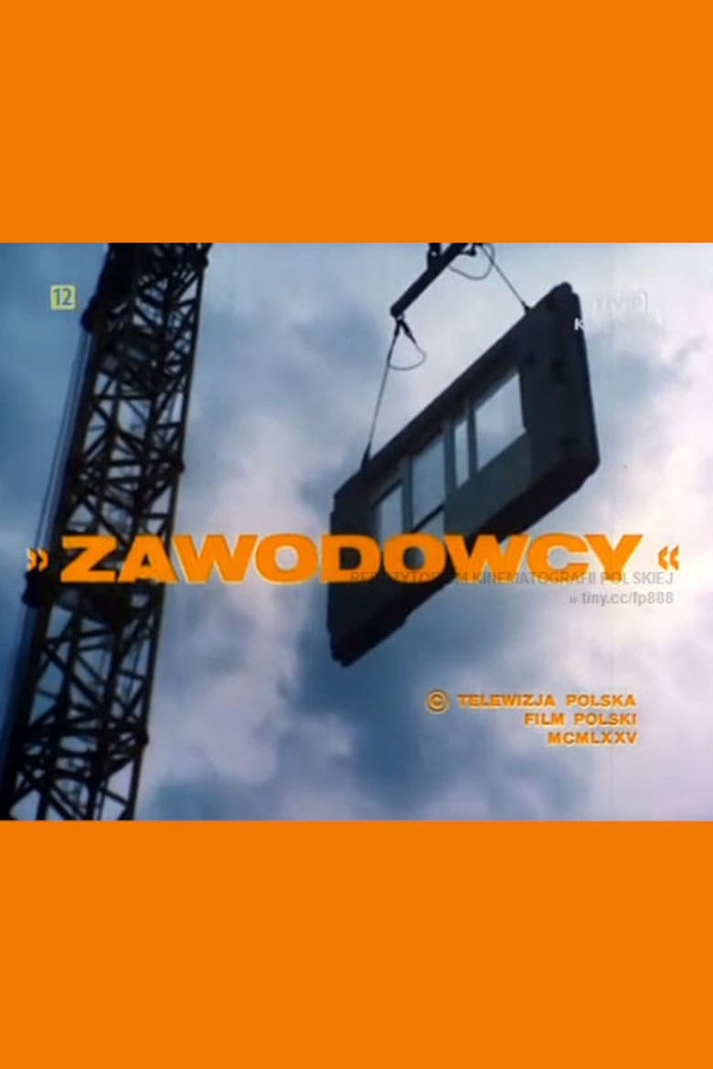 Zawodowcy poster
