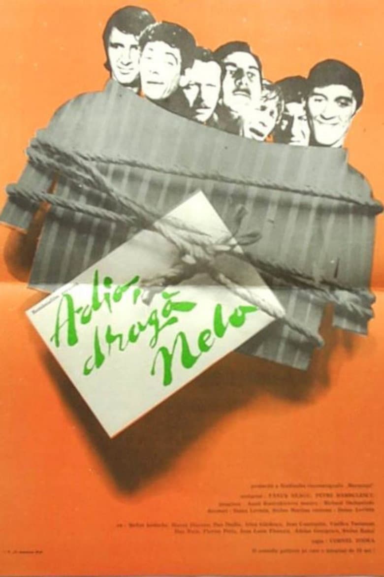 Farewell, Dear Nela! poster