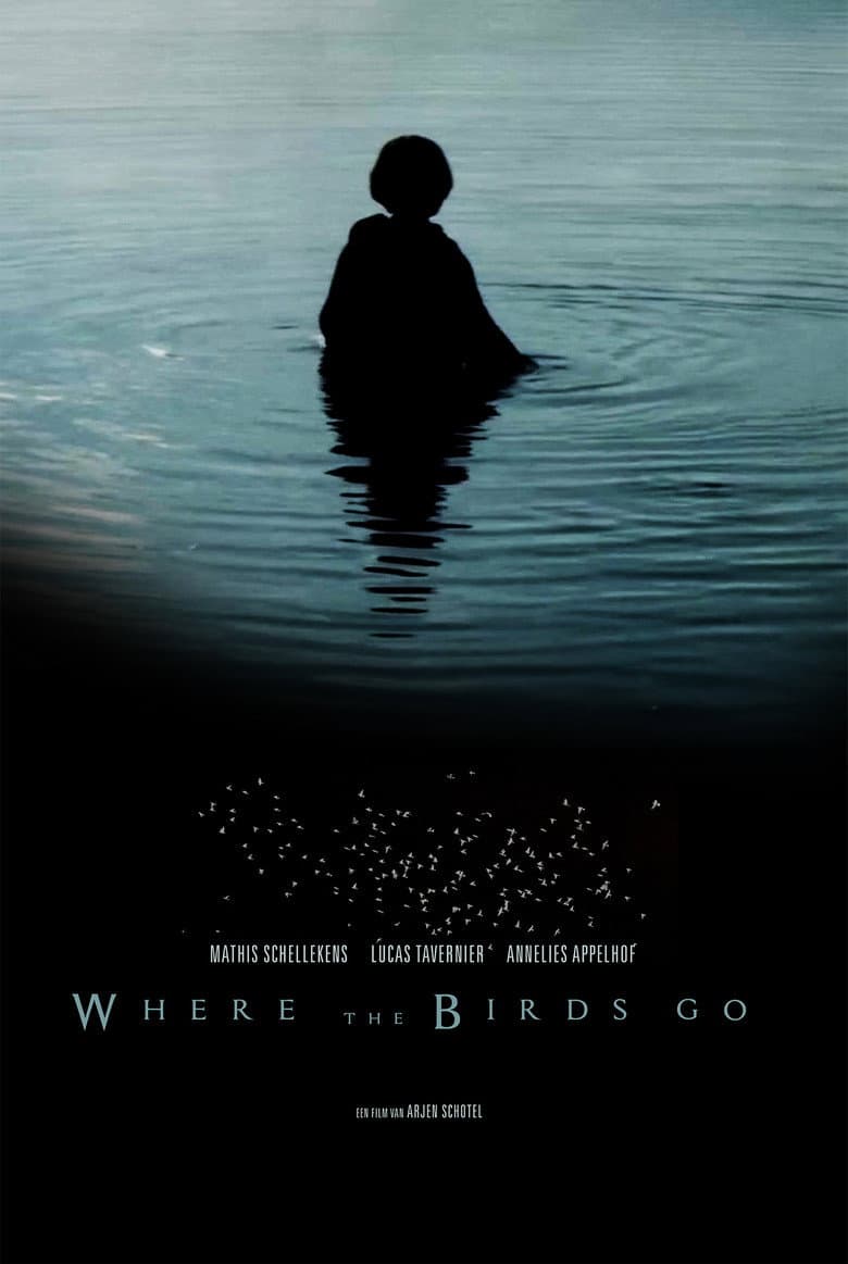 Where the birds go poster