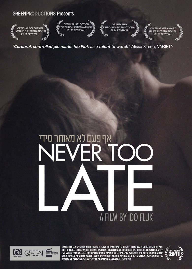 Never Too Late poster