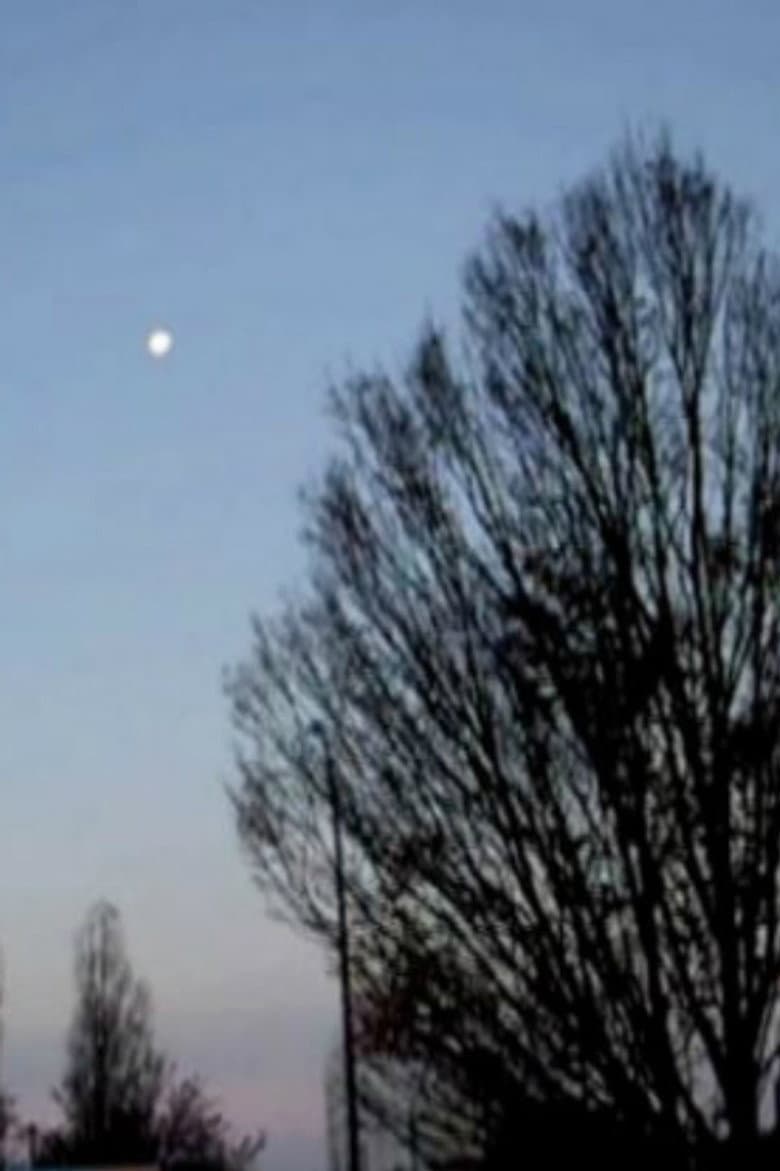 Mireuil Meander poster