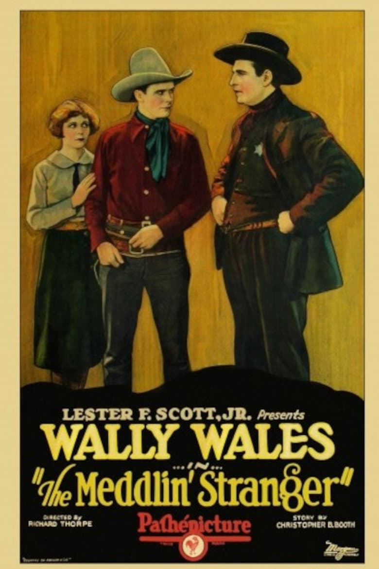 The Meddlin' Stranger poster