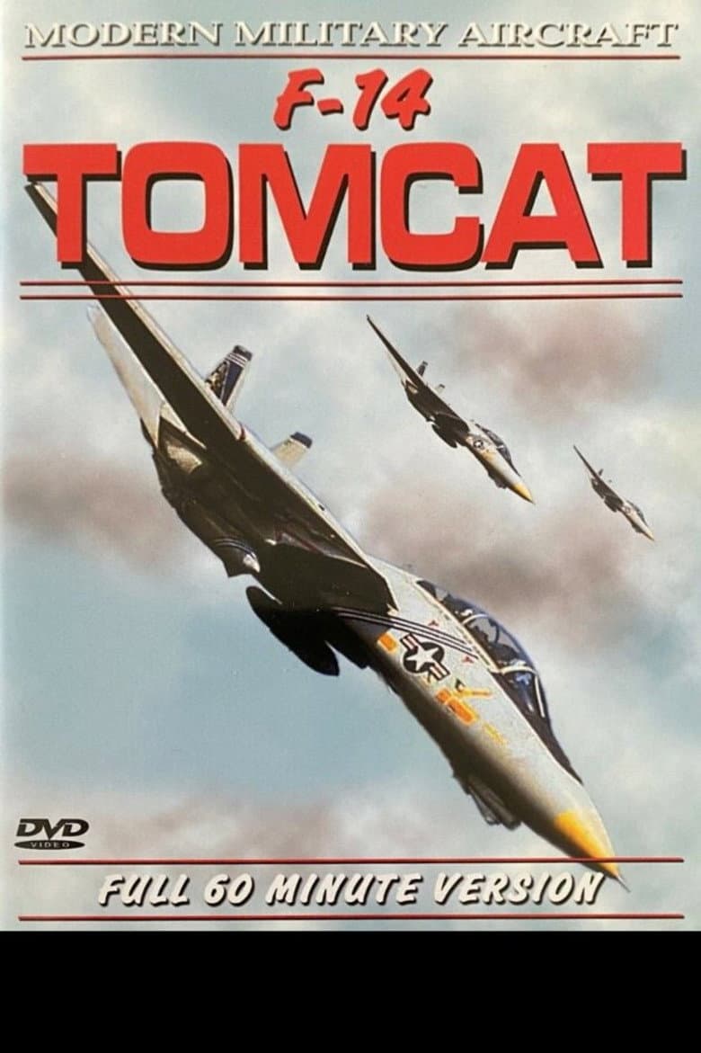 F-14 Tomcat poster