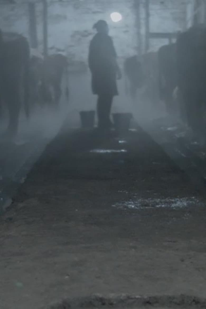 Daybreak, Sunset, Cow Milk poster