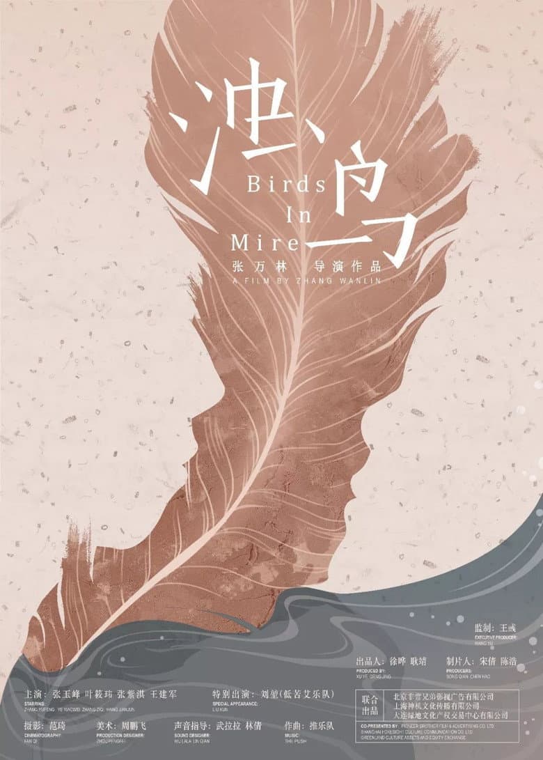 Birds in Mire poster