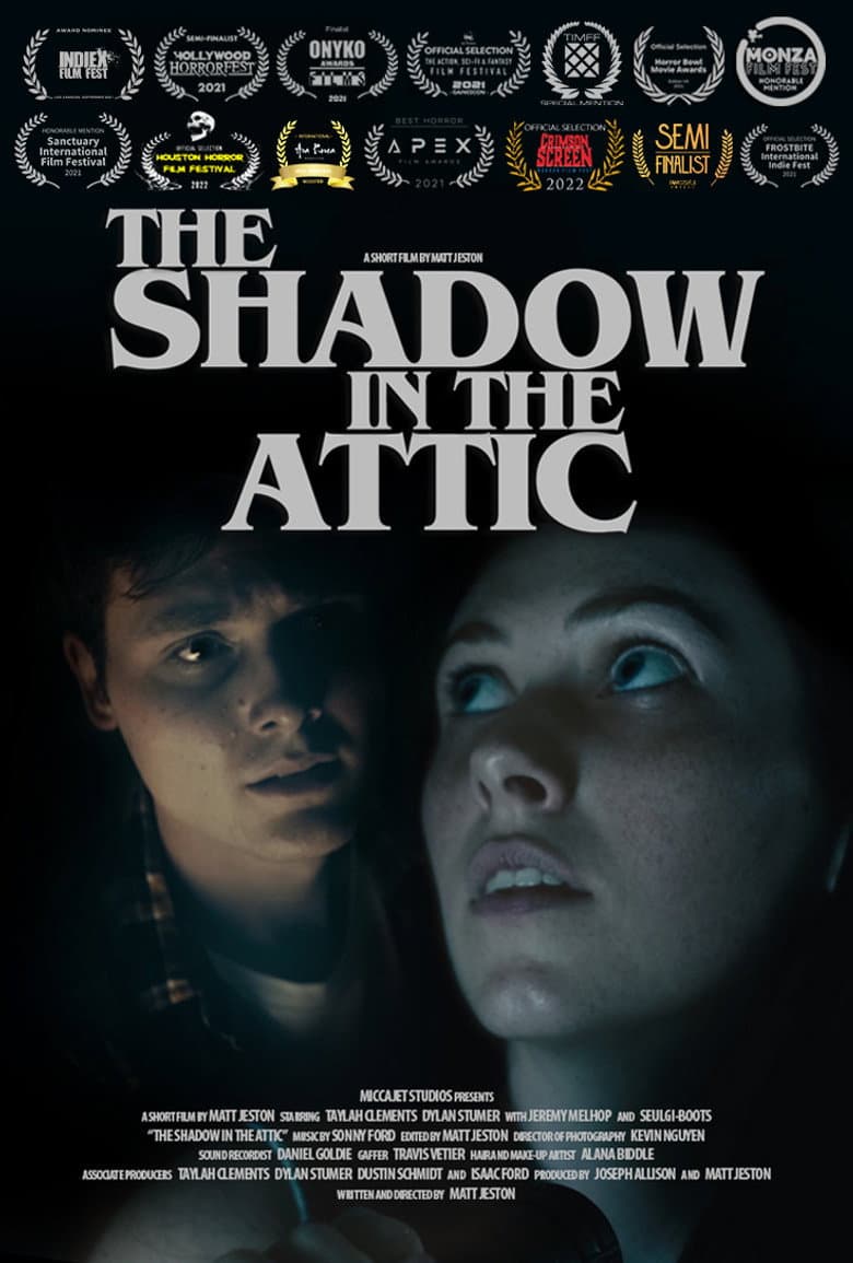 The Shadow in the Attic poster