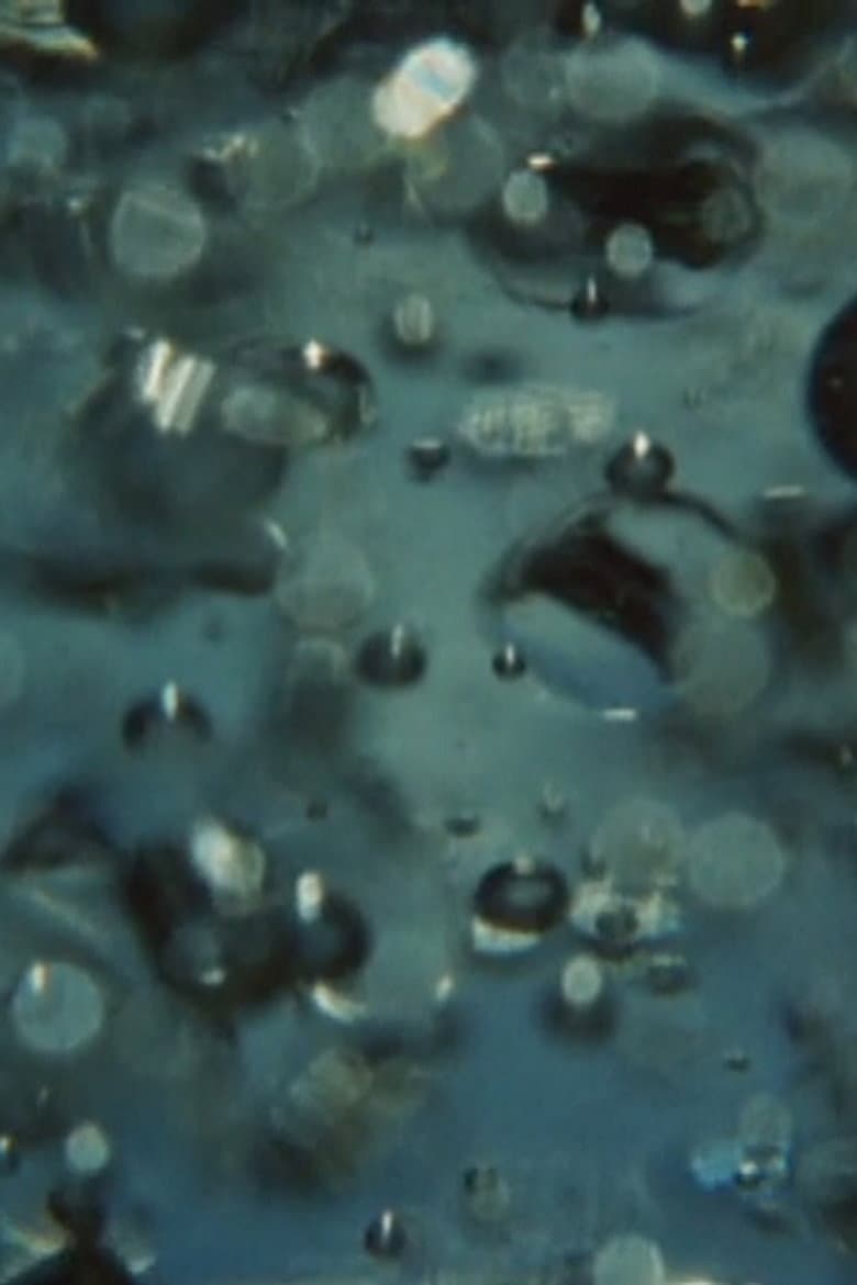 For a Young Filmmaker poster