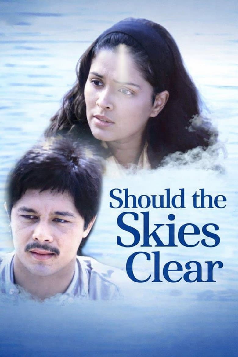 Should the Skies Clear poster