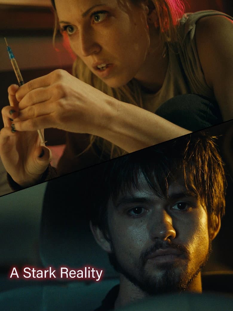 A Stark Reality poster