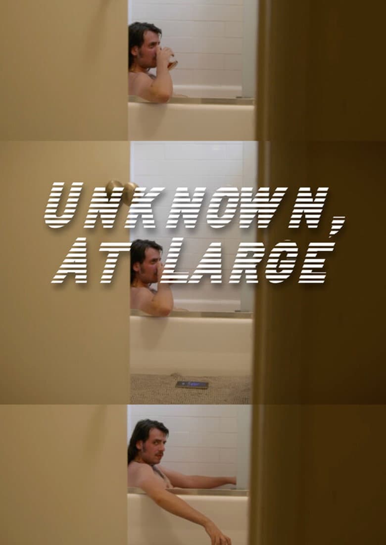 Unknown, At Large poster