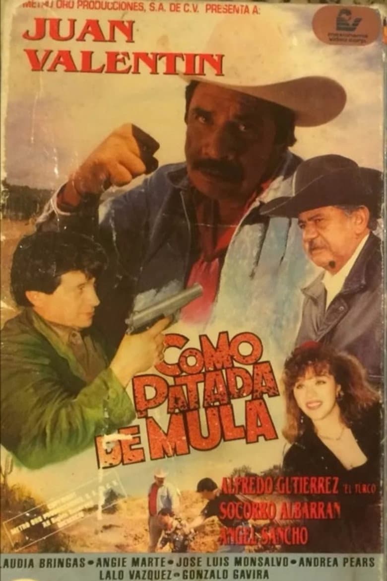 Como patada de mula poster