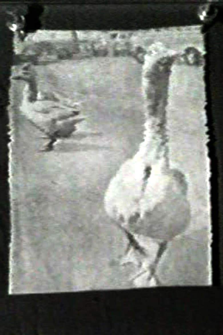 The Meaning of Various News Photos to Ed Henderson poster