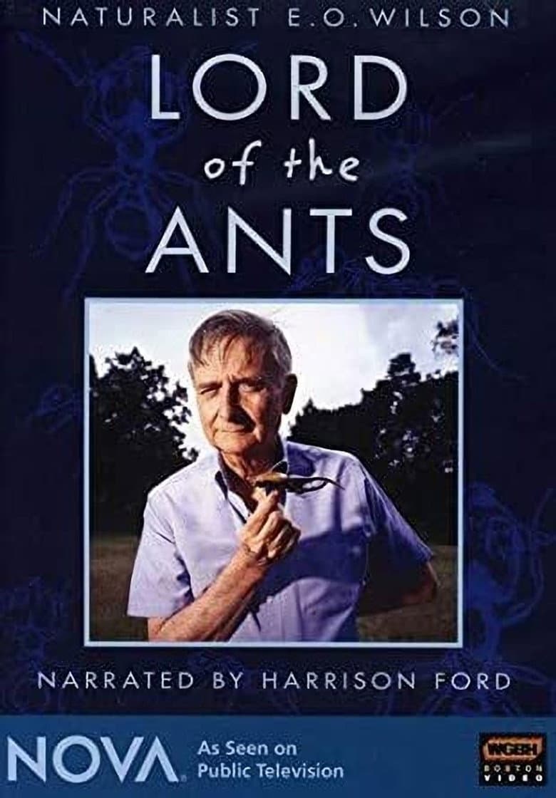 Lord of the Ants poster