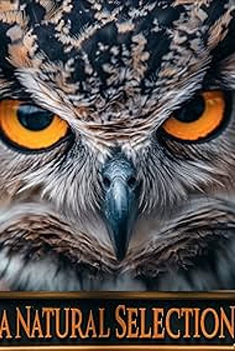 A Natural Selection poster