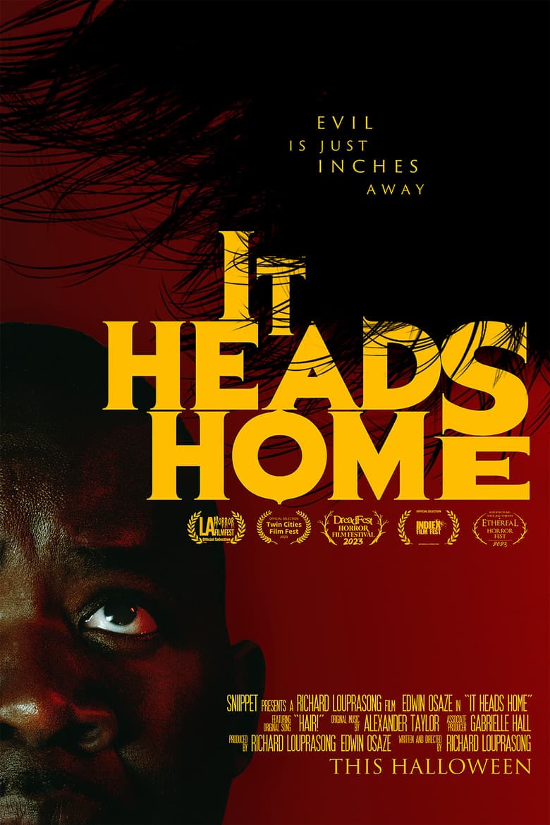 It Heads Home poster