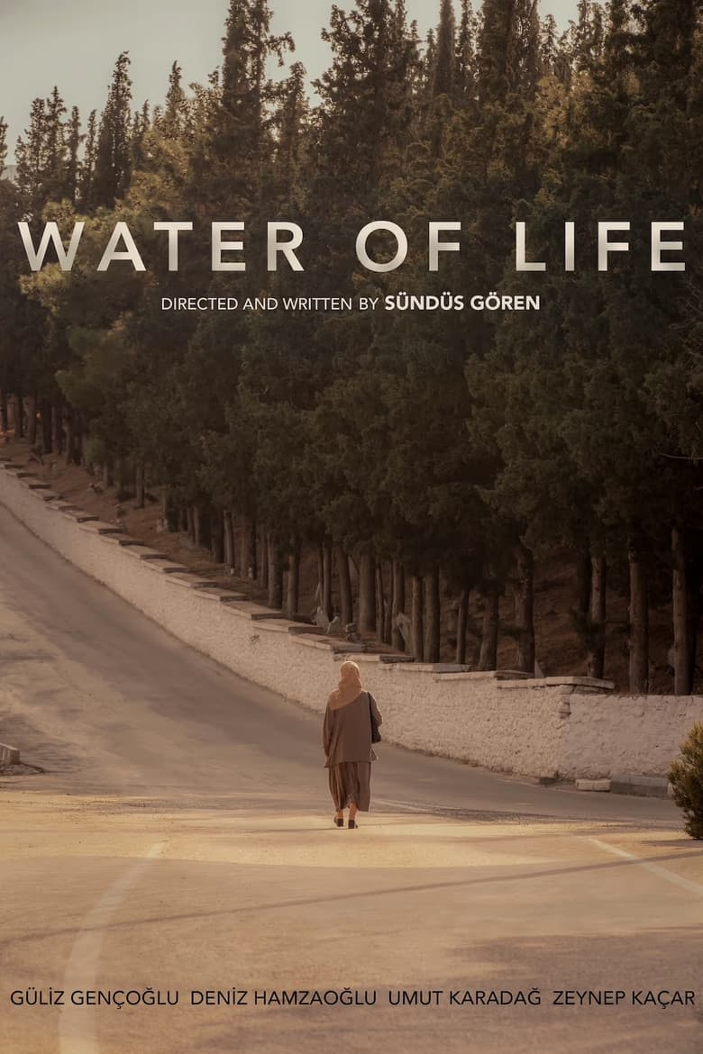 Water of Life poster