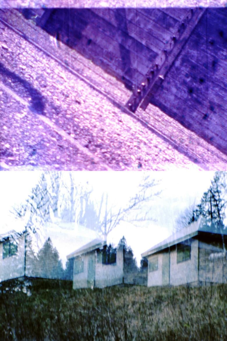 HEIDEGGER IN AUSCHWITZ poster