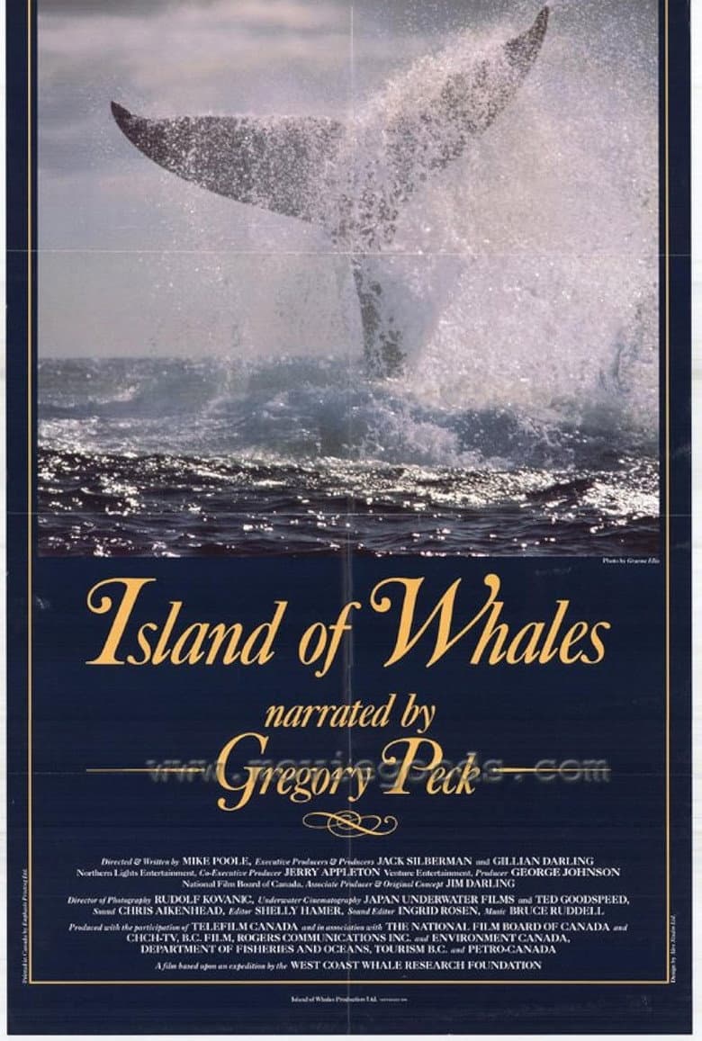 Island of Whales poster