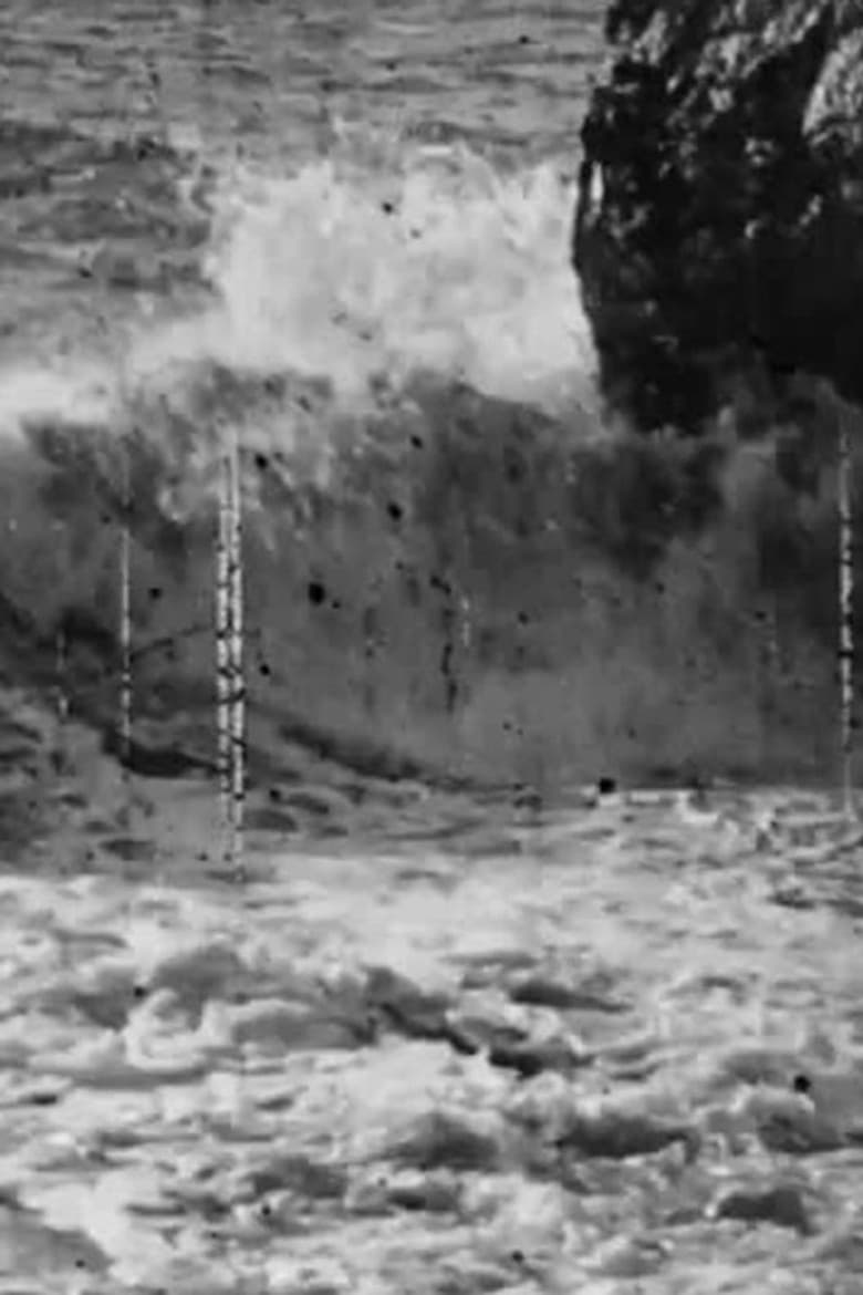 Waves Breaking poster