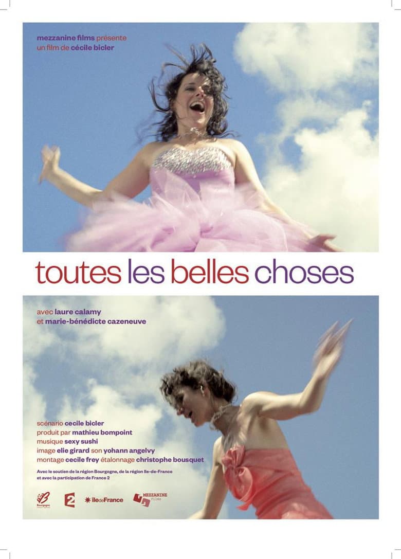 Toutes les belles choses poster
