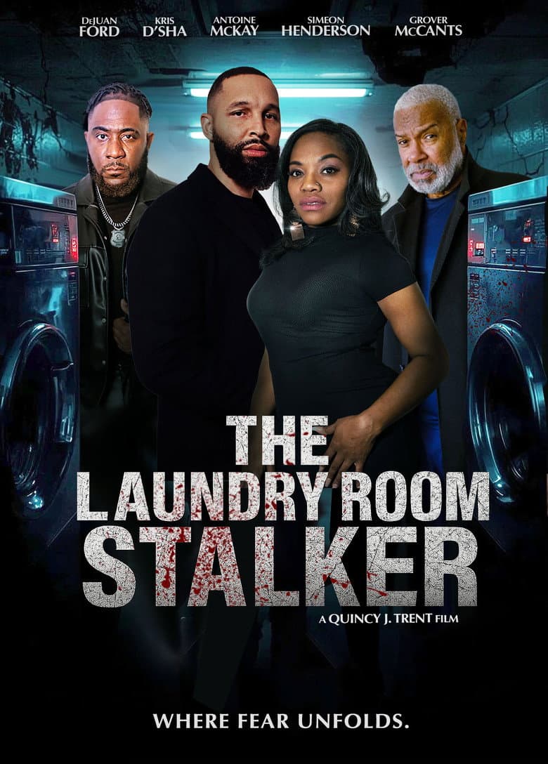 The Laundry Room Stalker poster