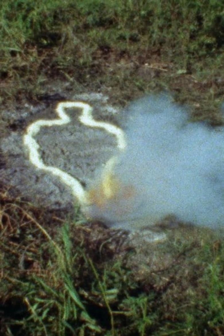 Untitled: 'Silueta' Sequence No. 1 poster