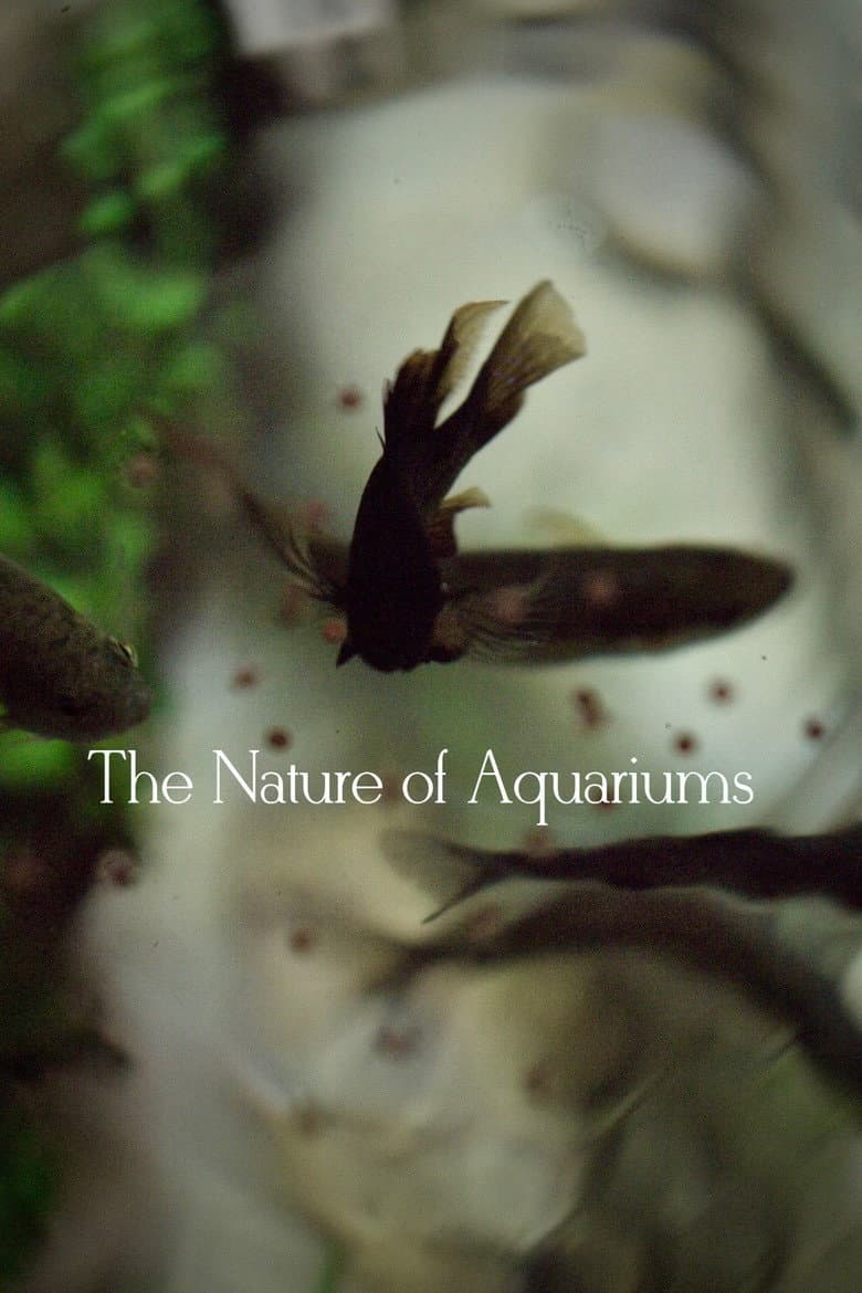 The Nature of Aquariums poster