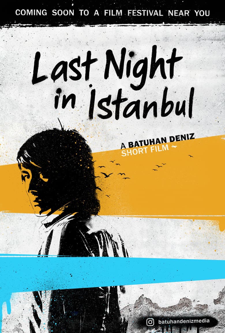 Last Night in Istanbul poster
