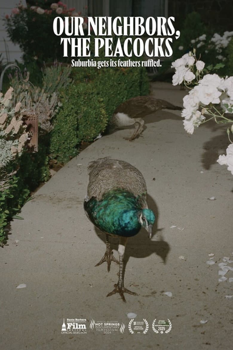 Our Neighbors, the Peacocks poster