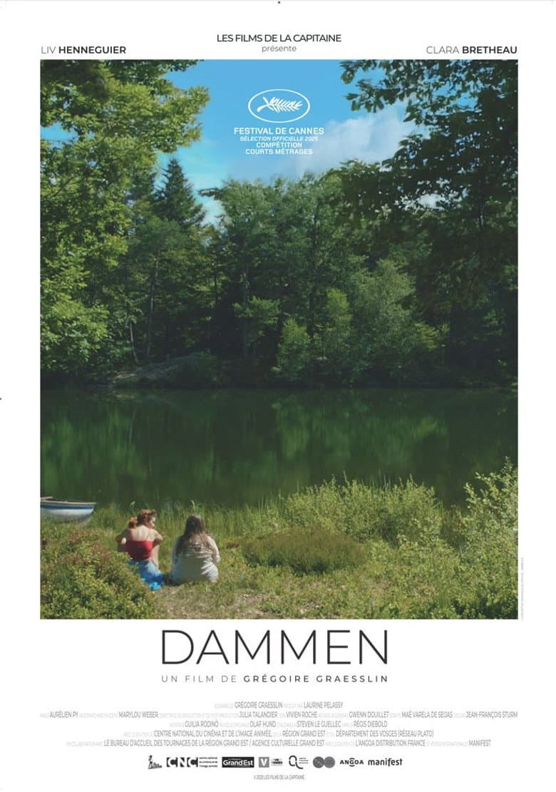 Dammen poster