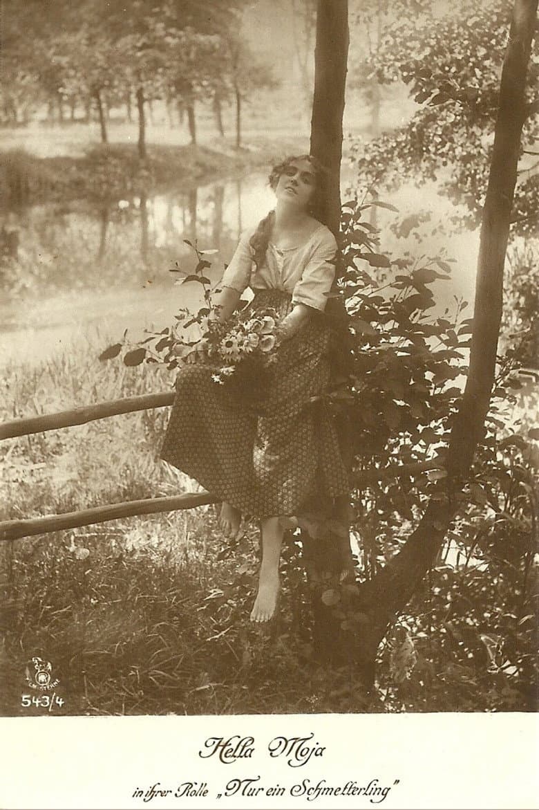 Nur ein Schmetterling poster