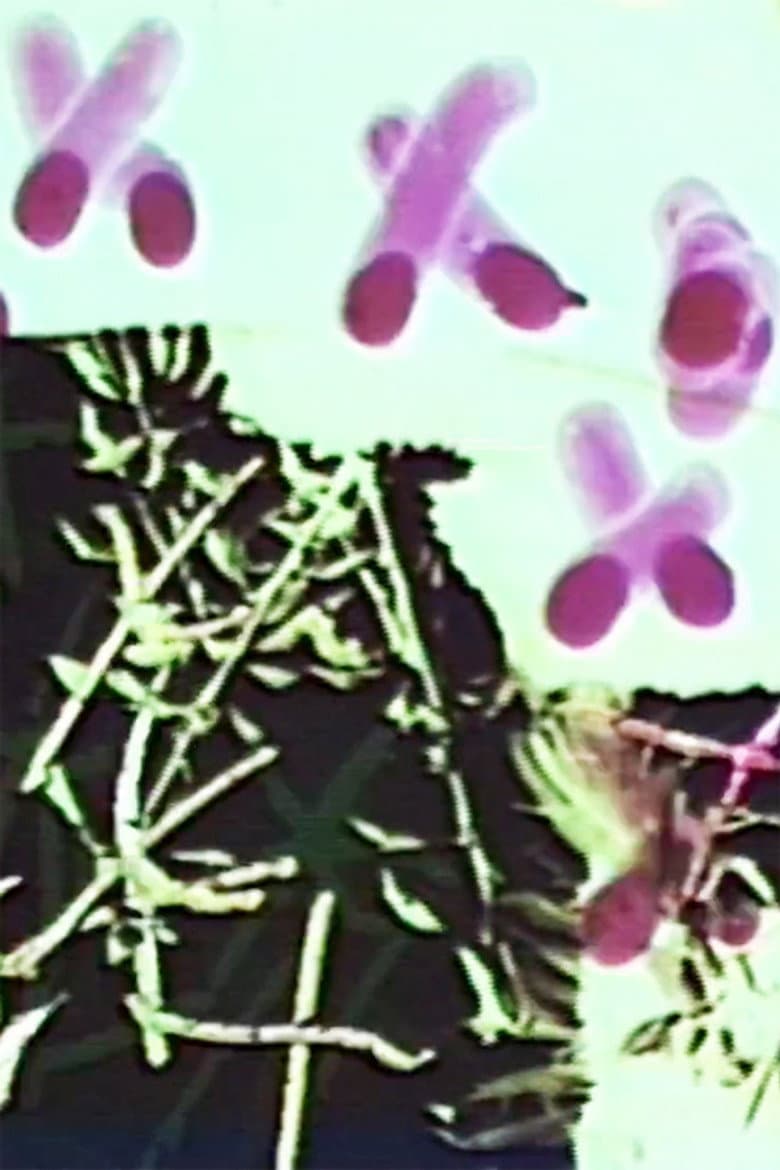 Frottage/Dommage/Fromage 2 Vous poster