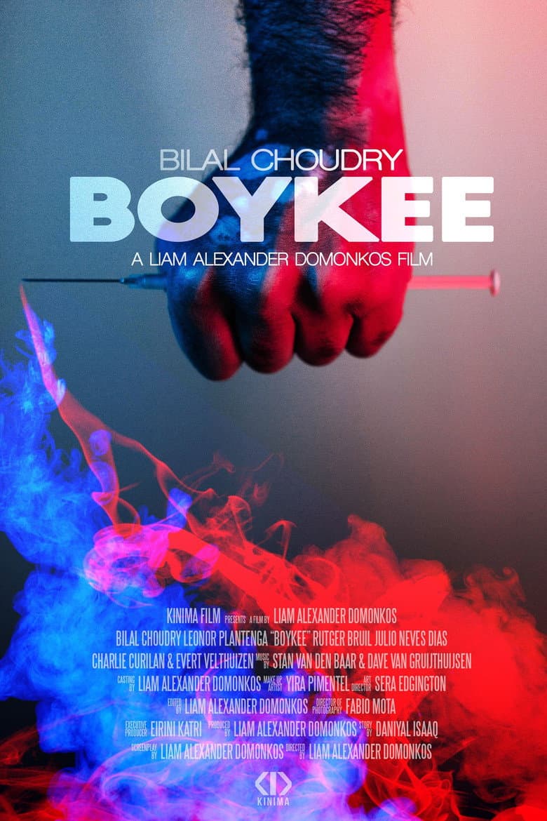 Boykee poster