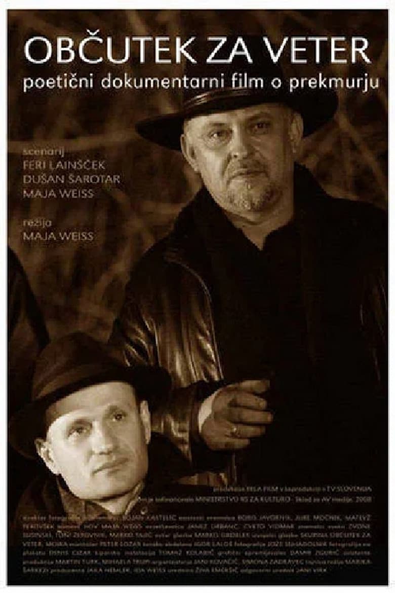 Feel for the Wind poster