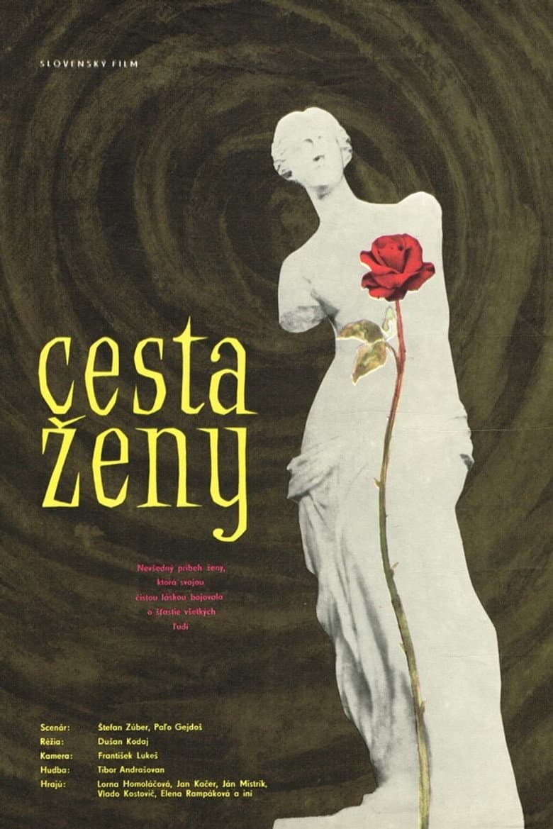 Cesta ženy poster