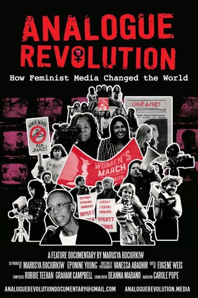 Analogue Revolution: How Feminist Media Changed the World poster