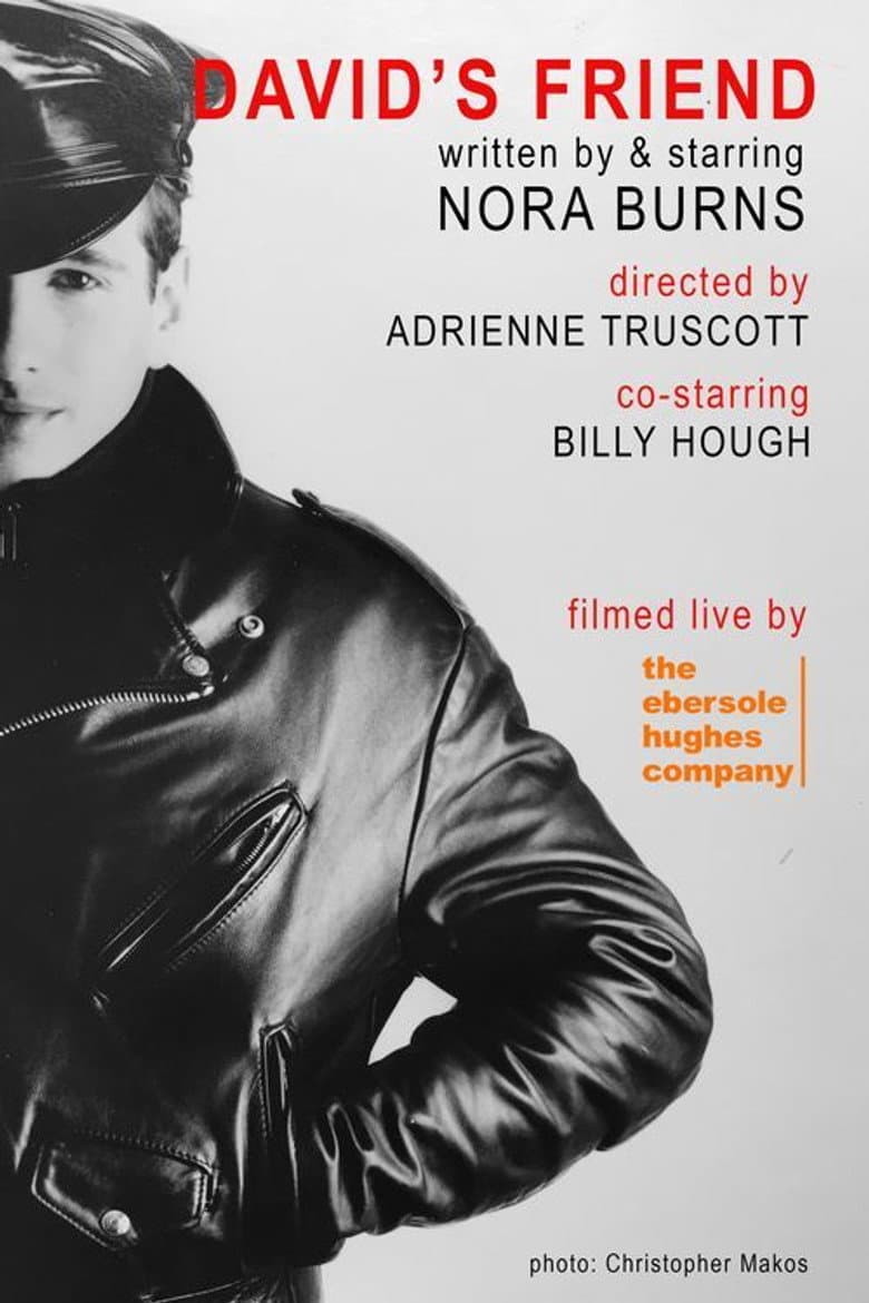 David's Friend poster