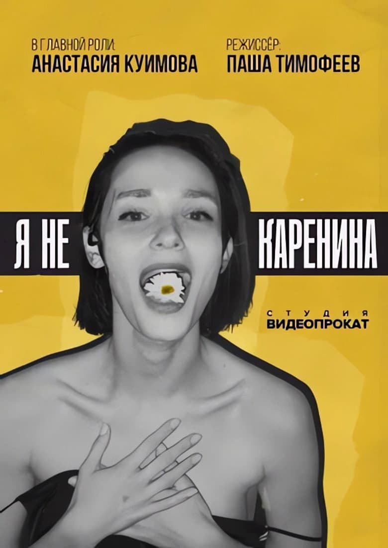 Not Karenina poster