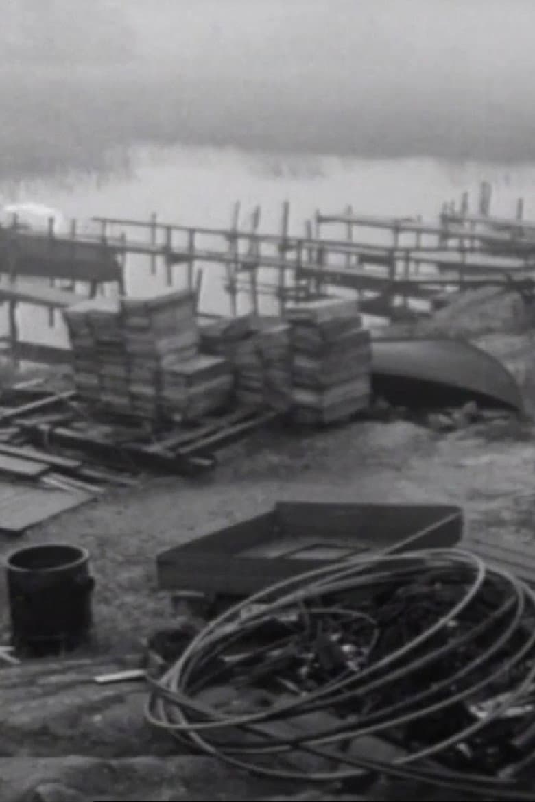 Transform Sweden poster