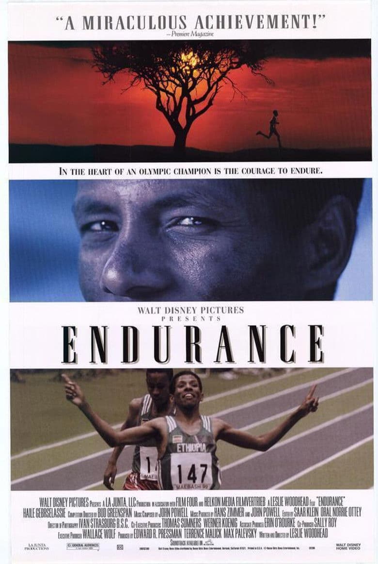 Endurance poster