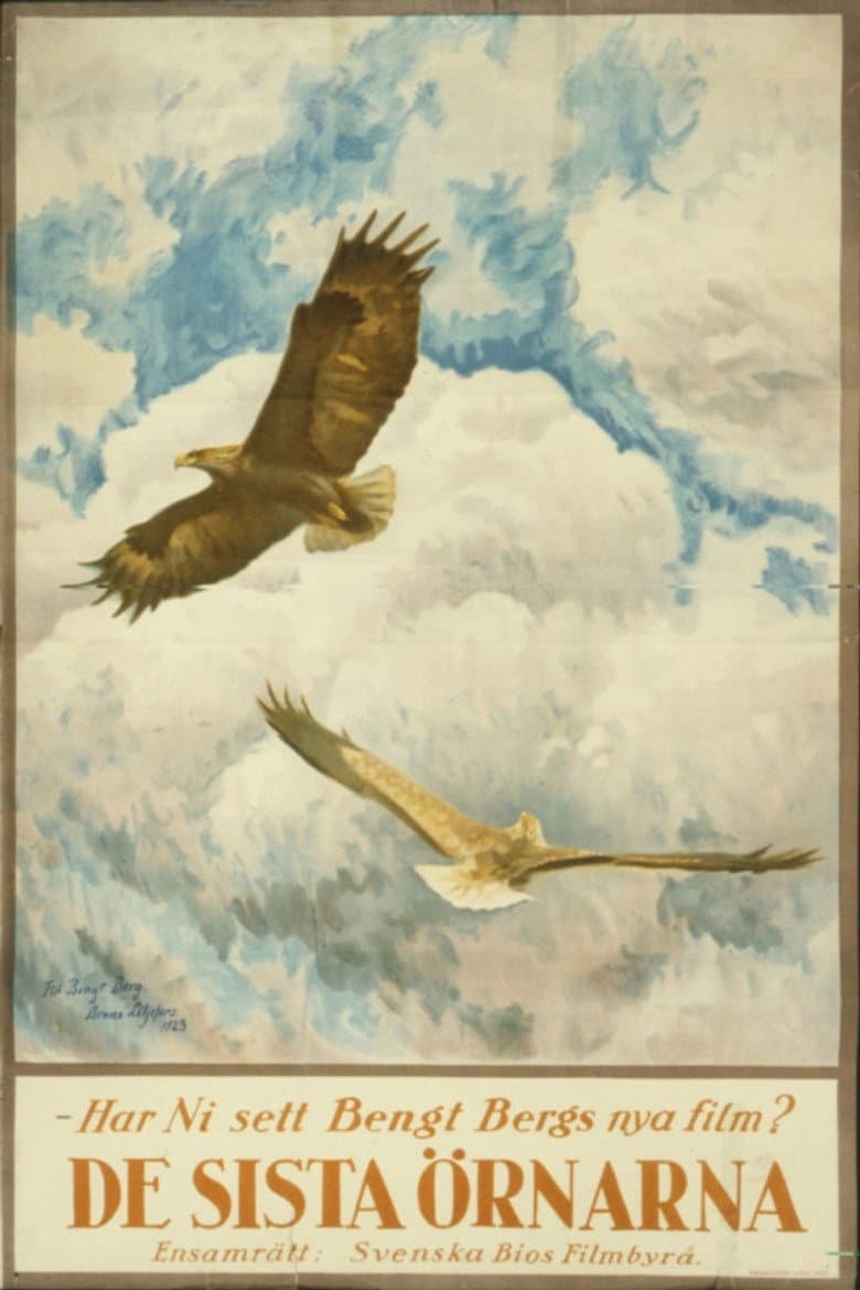 The Tale of the Last Eagles poster
