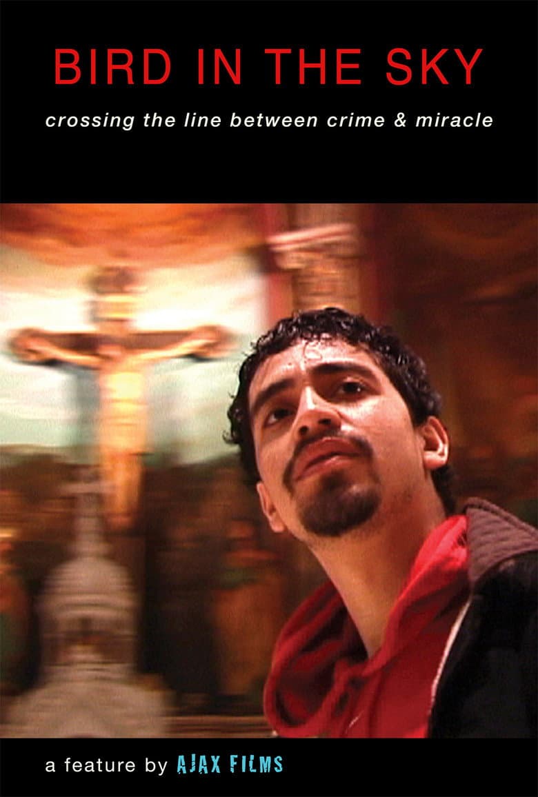 BIRD IN THE SKY poster