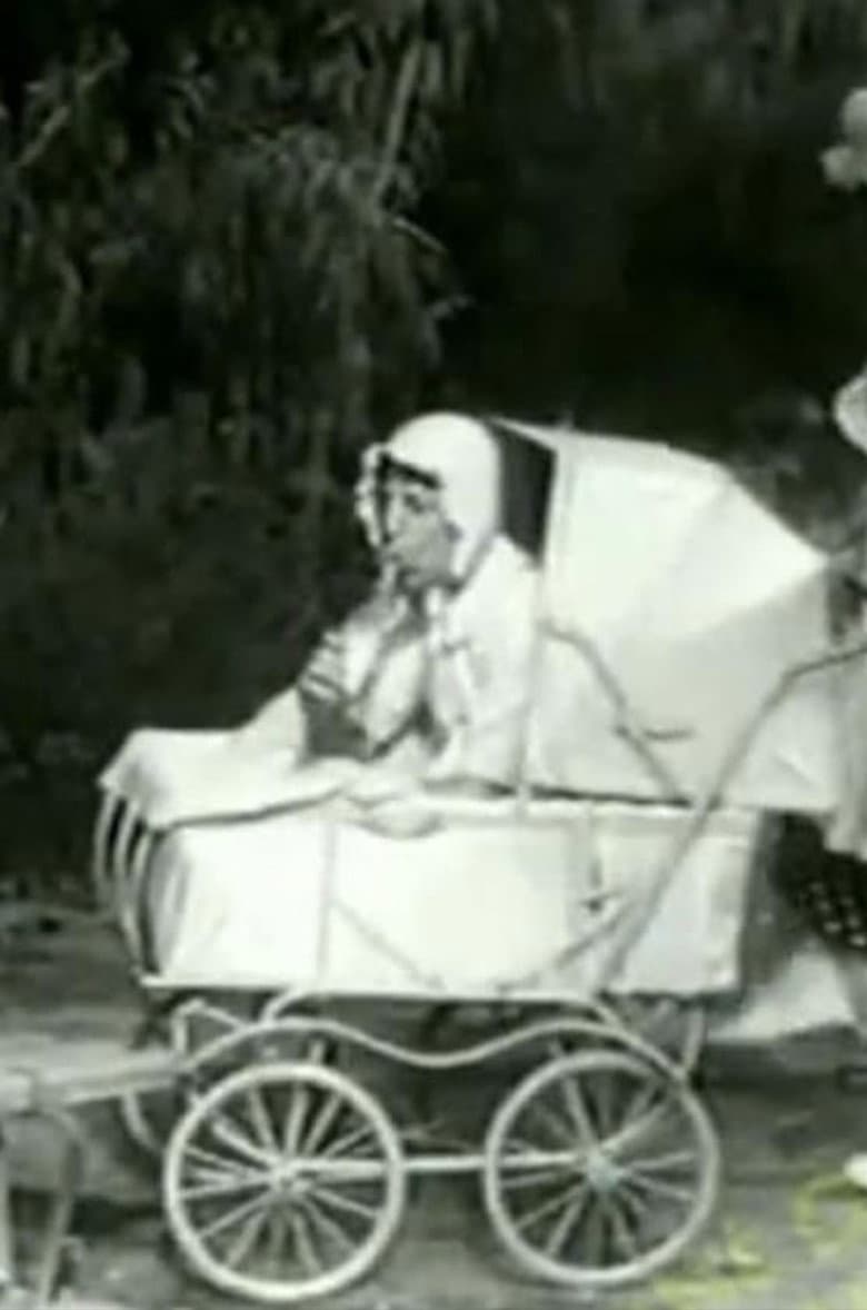 The Two Foxes poster