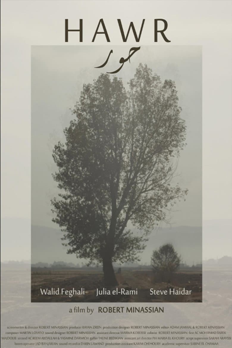 Hawr poster