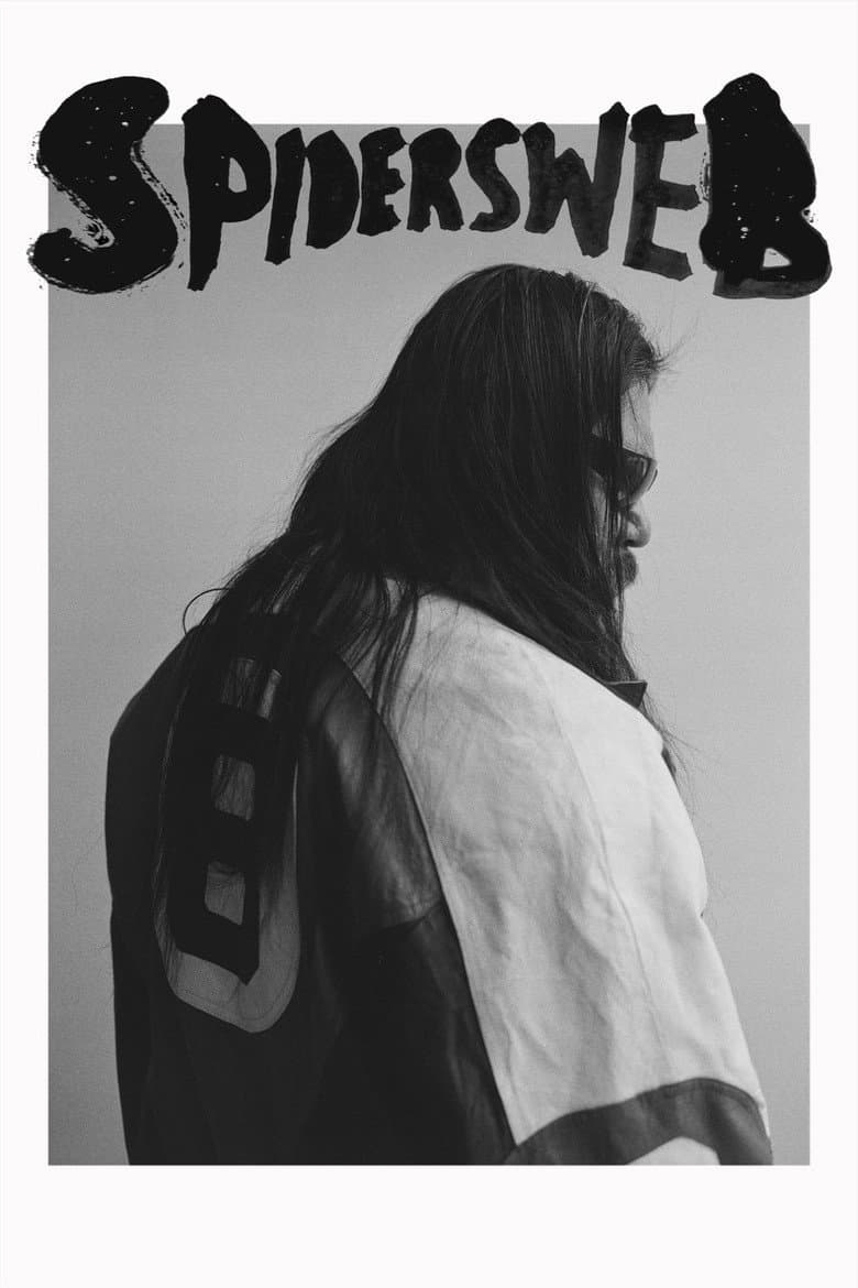 Spiders Web poster