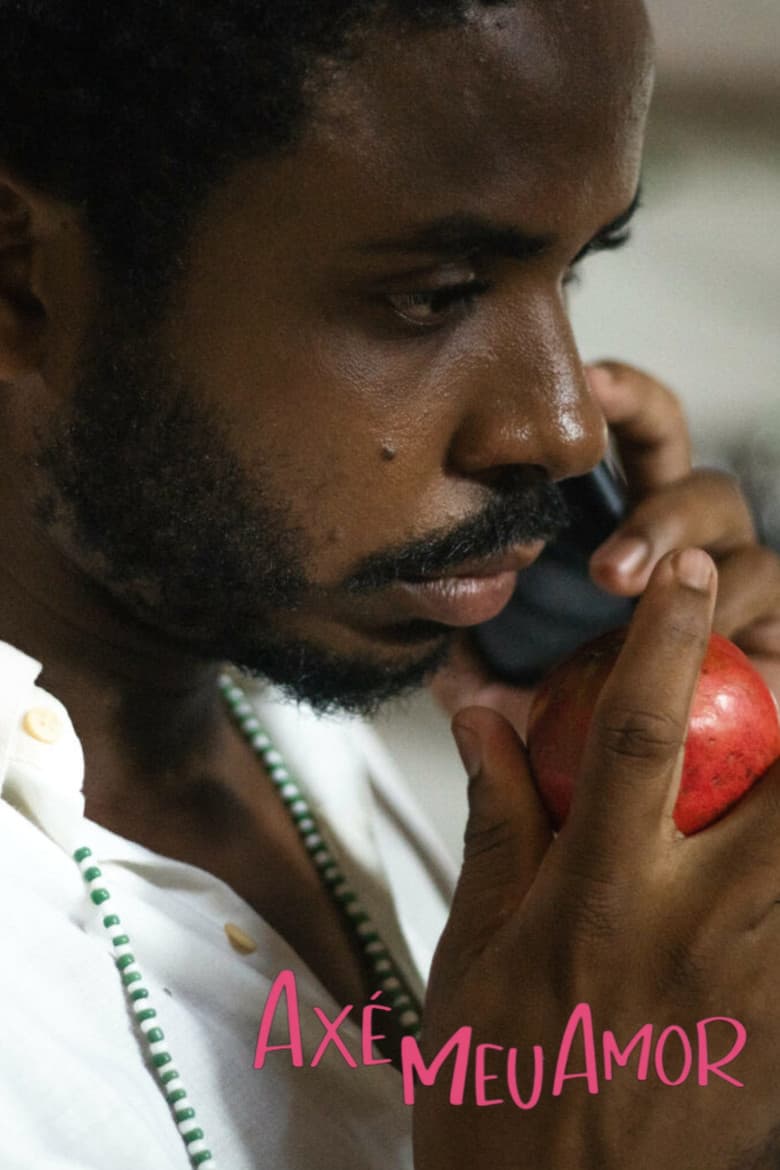 Axé meu amor poster