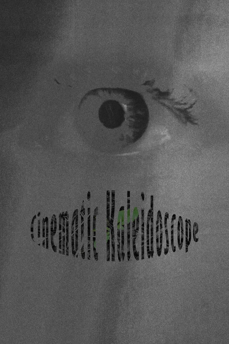 Cinematic Kaleidoscope poster