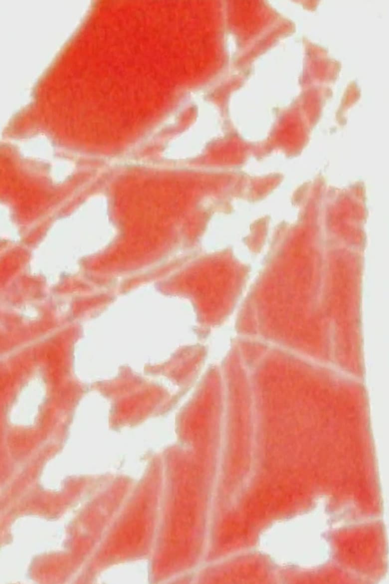 4 dreams, 4 gardens poster